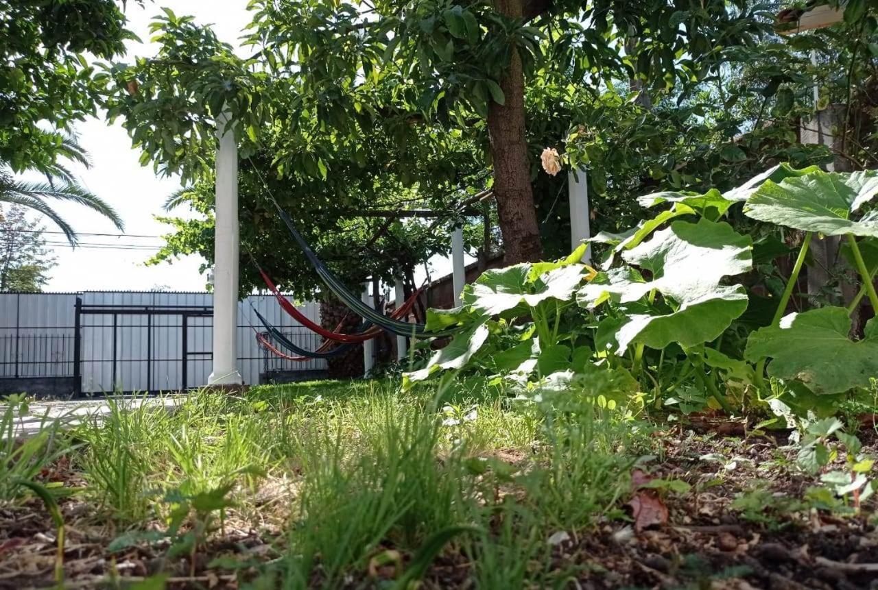 Hospedaje curicó casa grande Exterior foto